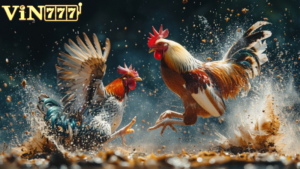 Cá Cược Đá Gà Nòi Cựa Sắt Vin777: Tỷ Lệ Kèo Hấp Dẫn, An Toàn Tuyệt Đối