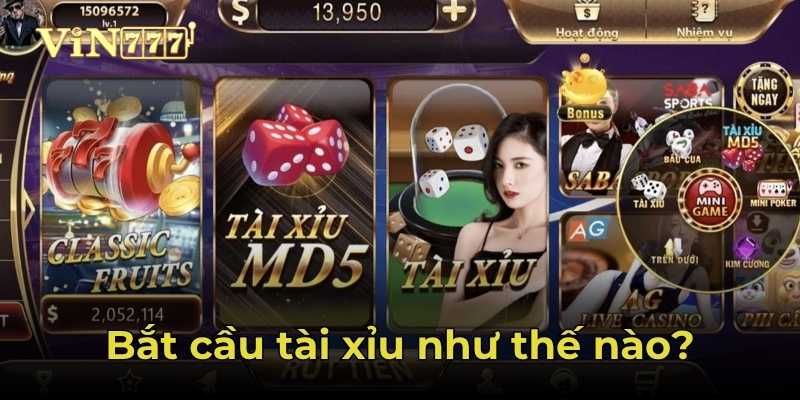 Giải thích về bắt cầu tài xỉu
