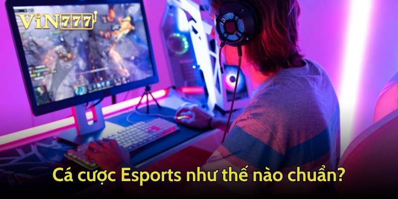 Cách cá cược Esports 2025 cho noewbie