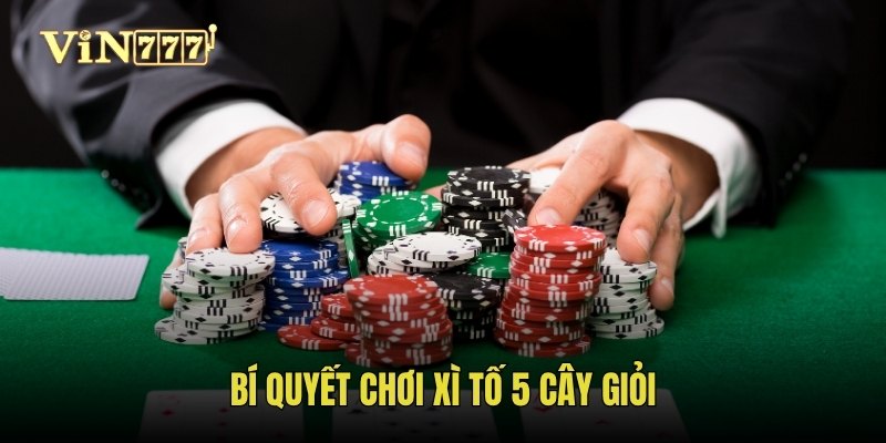 Bí quyết chơi xì tố 5 cây giỏi