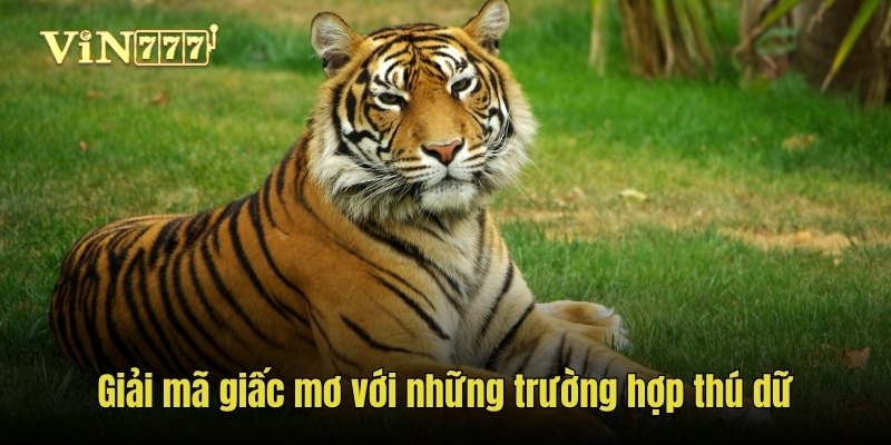 Giải mã giấc mơ với những trường hợp thú dữ