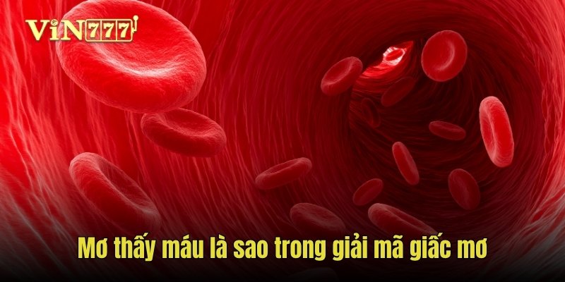 Mơ thấy máu là sao trong giải mã giấc mơ