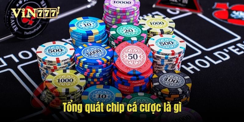 tong-quat-chip-ca-cuoc-la-gi