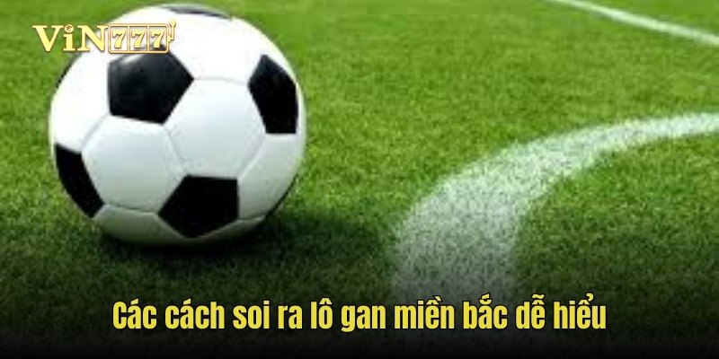 Cách soi ra lô gan miền bắc