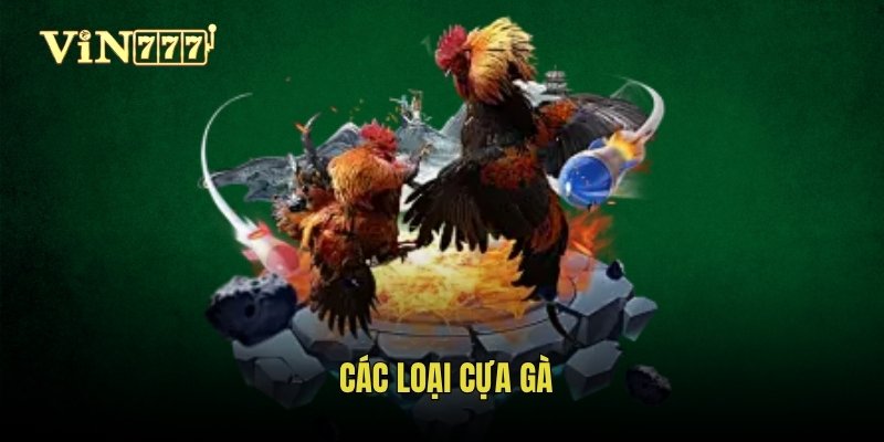 cac-loai-cua-ga