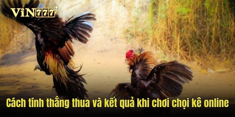 Cách tính thắng thua và kết quả khi chơi chọi kê online