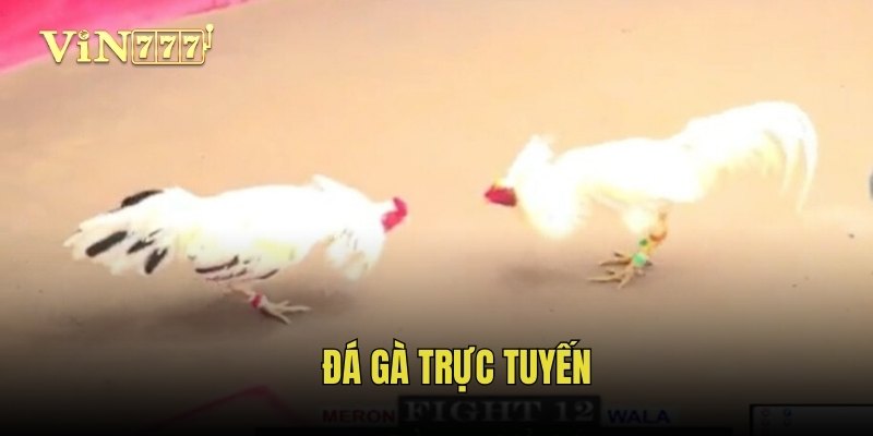 da-ga-truc-tuyen