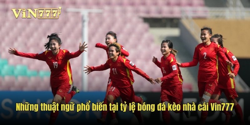 Những thuật ngữ phổ biến tại tỷ lệ bóng đá kèo nhà cái Vin777