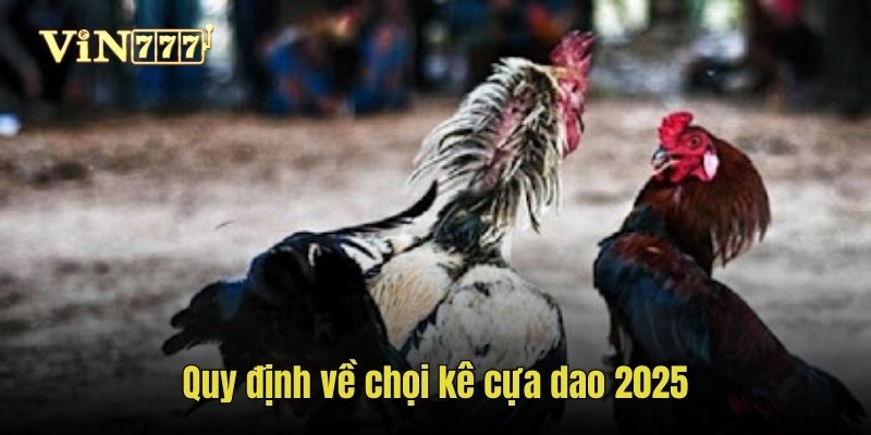 Quy định về chọi kê cựa dao 2025