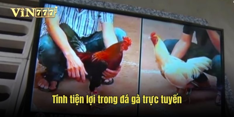 Tính tiện lợi trong đá gà trực tuyến