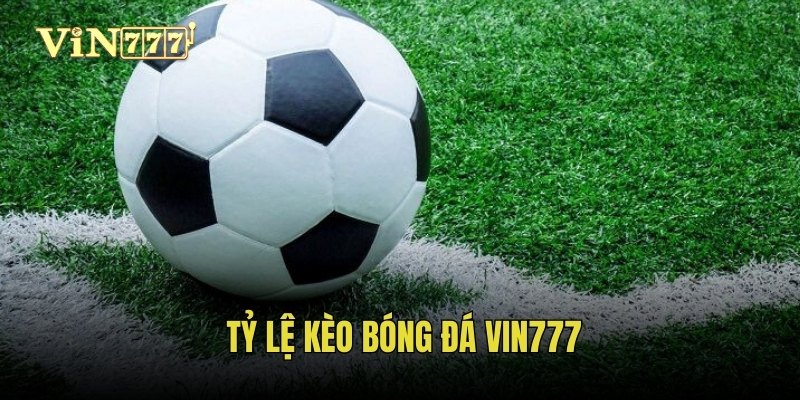 ty-le-keo-bong-da-vin777